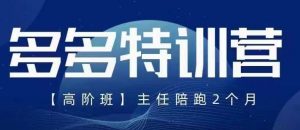 纪主任·5月最新多多特训营高阶班,玩法落地实操,多多全掌握-第一资源库