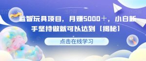 益智玩具项目,月赚5000+,小白新手坚持做就可以达到【揭秘】-第一资源库