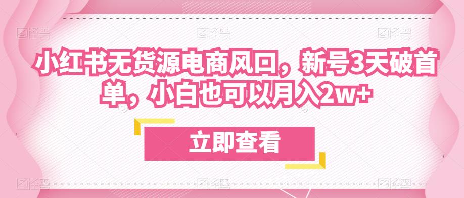 众狼电商余文小红书无货源电商风口,新号3天破首单,小白也可以月入2w+-第一资源库