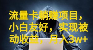 流量卡躺赚项目,小白友好,开设后台,实现被动收益,只要出卡,就能一直赚钱,利润高昂【揭秘】-第一资源库
