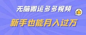 无脑搬运多多视频,新手也能月入过万【揭秘】-第一资源库