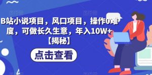 B站小说项目,风口项目,操作0难度,可做长久生意,年入10W+【揭秘】-第一资源库