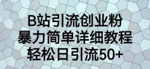 B站引流创业粉,暴力简单详细教程,轻松日引流50+【揭秘】-第一资源库