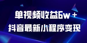 抖音最新小程序变现项目,单视频收益6w+,小白可做【揭秘】-第一资源库