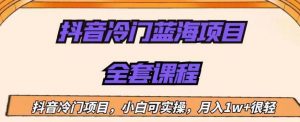 外面收费1288的抖音冷门蓝海项目,新手也可批量操作,月入1W+【揭秘】-第一资源库