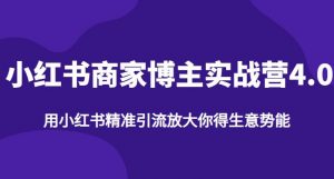 【推荐】小红书商家博主精准引流实战营4.0,用小红书放大你的生意势能-第一资源库