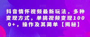 抖音情怀视频最新玩法,多种变现方式,单挑视频变现1000+,操作及其简单【揭秘】-第一资源库