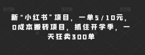 新“小红书”项目,一单5/10元,0成本搬砖项目,抓住开学季,一天狂卖300单【揭秘】-第一资源库