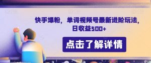 快手爆粉,单词视频号最新进阶玩法,日收益500+【揭秘】-第一资源库