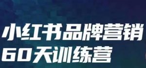 小红书品牌60天训练营第6期,GMV2亿级品牌老板都在学,教会你内容营销底层逻辑-第一资源库