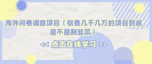 海外问卷调查项目(收费几千几万的项目到底是不是割韭菜)【揭秘】-第一资源库