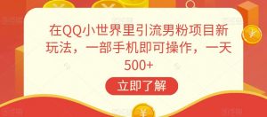 在QQ小世界里引流男粉项目新玩法,一部手机即可操作,一天500+【揭秘】-第一资源库