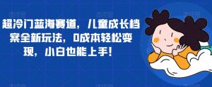 超冷门蓝海赛道,儿童成长档案全新玩法,0成本轻松变现,小白也能上手【揭秘】-第一资源库