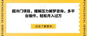 超冷门项目，缓解压力解梦咨询，多平台操作，轻松月入过万【揭秘】-第一资源库