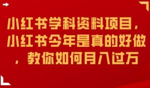 小红书学科资料项目,小红书今年是真的好做,教你如何月入过万【揭秘】-第一资源库