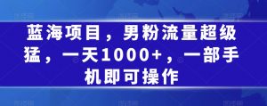 蓝海项目,男粉流量超级猛,一天1000+,一部手机即可操作【揭秘】-第一资源库