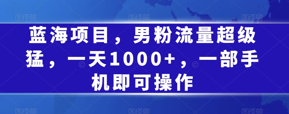 蓝海项目,男粉流量超级猛,一天1000+,一部手机即可操作【揭秘】-第一资源库