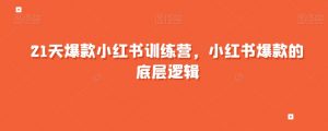 21天爆款小红书训练营，小红书爆款的底层逻辑-第一资源库
