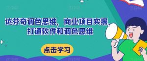 达芬奇调色思维,商业项目实操,打通软件和调色思维-第一资源库