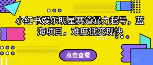 外面收费2980的视频号流量主项目,作品制作简单无脑,单账号日入过千-第一资源库