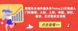 跨境多多海外版多多Temu12天快速入门实操课，入驻、上架、审版、核价、备货、正式售卖全流程-第一资源库