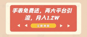 手表免费送,两大平台引流,月入1.2W【揭秘】-第一资源库
