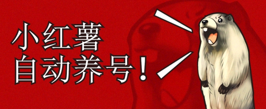 小红书养号秘籍,如何自动涨粉清晰系统标签打造高权重账号【揭秘】-第一资源库
