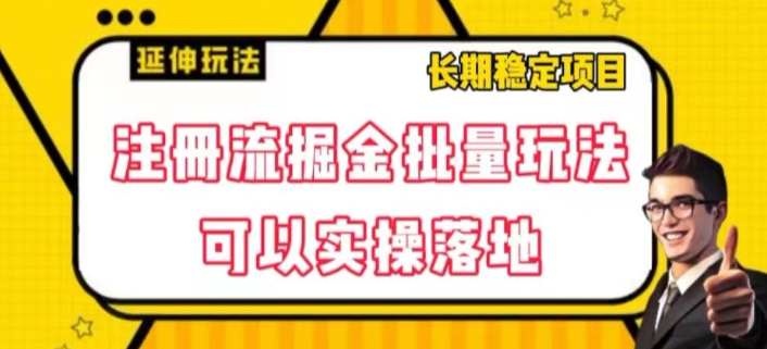 注册流掘金批量玩法,可以实操落地【揭秘】-第一资源库
