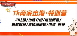 Tk商家出海·特训营:ID注册/功能介绍/定位账号/爆款视频/直播间搭建/带货-第一资源库