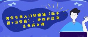 淘宝电商入门到精通(新手篇+运营篇),带你开启淘系电商之路-第一资源库