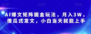 AI爆文矩阵掘金玩法,月入3W,傻瓜式发文,小白当天就能上手【揭秘】-第一资源库