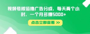 视频号搬运撸广告分成,每天两个小时,一个月多赚5000+-第一资源库