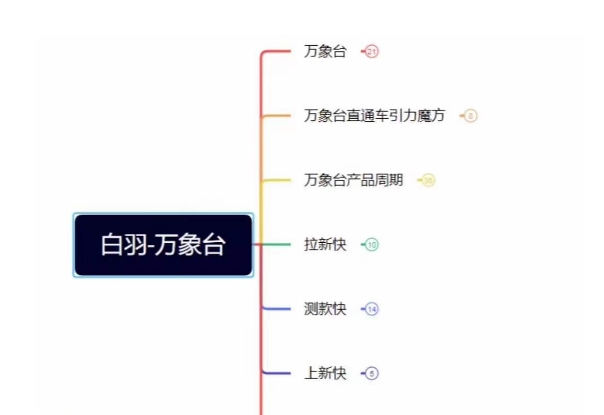 白羽·直引万搜索全篇,从0-1,多个类目实操经验总结付费-第一资源库