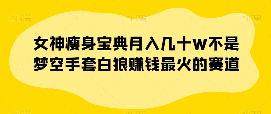 女神瘦身宝典月入几十W不是梦空手套白狼赚钱最火的赛道【揭秘】-第一资源库