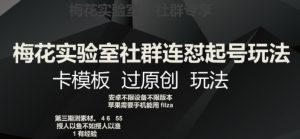 梅花实验室社群连怼起号玩法,卡模板过原创玩法【揭秘】-第一资源库