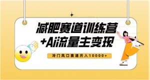 全新减肥赛道AI流量主+训练营变现玩法教程,蓝海冷门赛道小白轻松上手,月入10000+-第一资源库