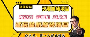 三端试玩挂机搬砖项目(模拟器+云手机+安卓机),单窗口试玩搬砖利润在30+到40+【揭秘】-第一资源库