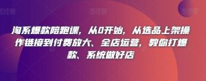 淘系爆款陪跑课，从0开始，从选品上架操作链接到付费放大、全店运营，教你打爆款、系统做好店-第一资源库