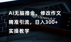 AI无脑撸金,修改作文精准引流,日入300+,实操教学【揭秘】-第一资源库