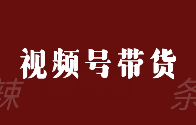 视频号带货联盟,赚信息差的带货钱,只需手机随时随地都可以做!-第一资源库
