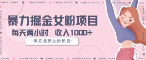 年底暴力女粉掘金项目5天变现1.5W+【揭秘】-第一资源库