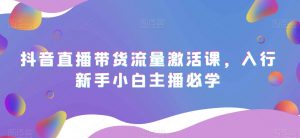 抖音直播带货流量激活课，入行新手小白主播必学-第一资源库