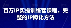 百万IP实操训练营课程,完整的IP孵化方法-第一资源库