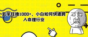 玄学狂撸1000+,小白如何快速跨入命理行业【揭秘】-第一资源库