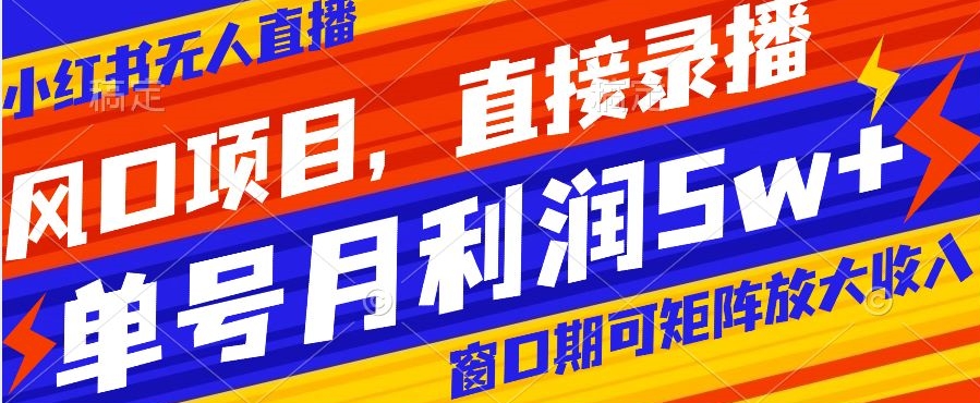 风口项目,小红书无人直播带货,直接录播,可矩阵,月入5w+【揭秘】-第一资源库