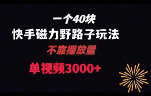 一个40块,快手联合美团磁力新玩法,无视机制野路子玩法,单视频收益4位数【揭秘】-第一资源库