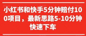 小红书和快手5分钟赔付100项目，最新思路5-10分钟快速下车【仅揭秘】-第一资源库