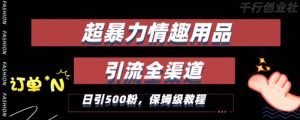 最新情趣项目引流全渠道,自带高流量,保姆级教程,轻松破百单,日引500+粉【揭秘】-第一资源库