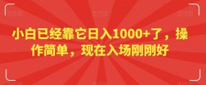 小白已经靠它日入1000+了,操作简单,现在入场刚刚好【揭秘】-第一资源库
