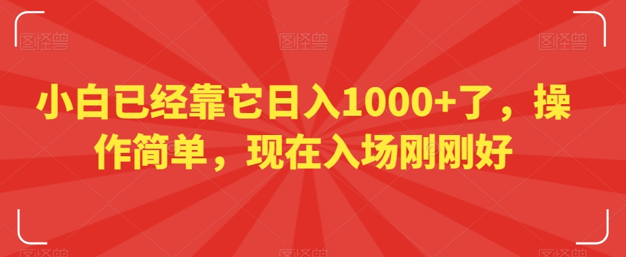小白已经靠它日入1000+了,操作简单,现在入场刚刚好【揭秘】-第一资源库
